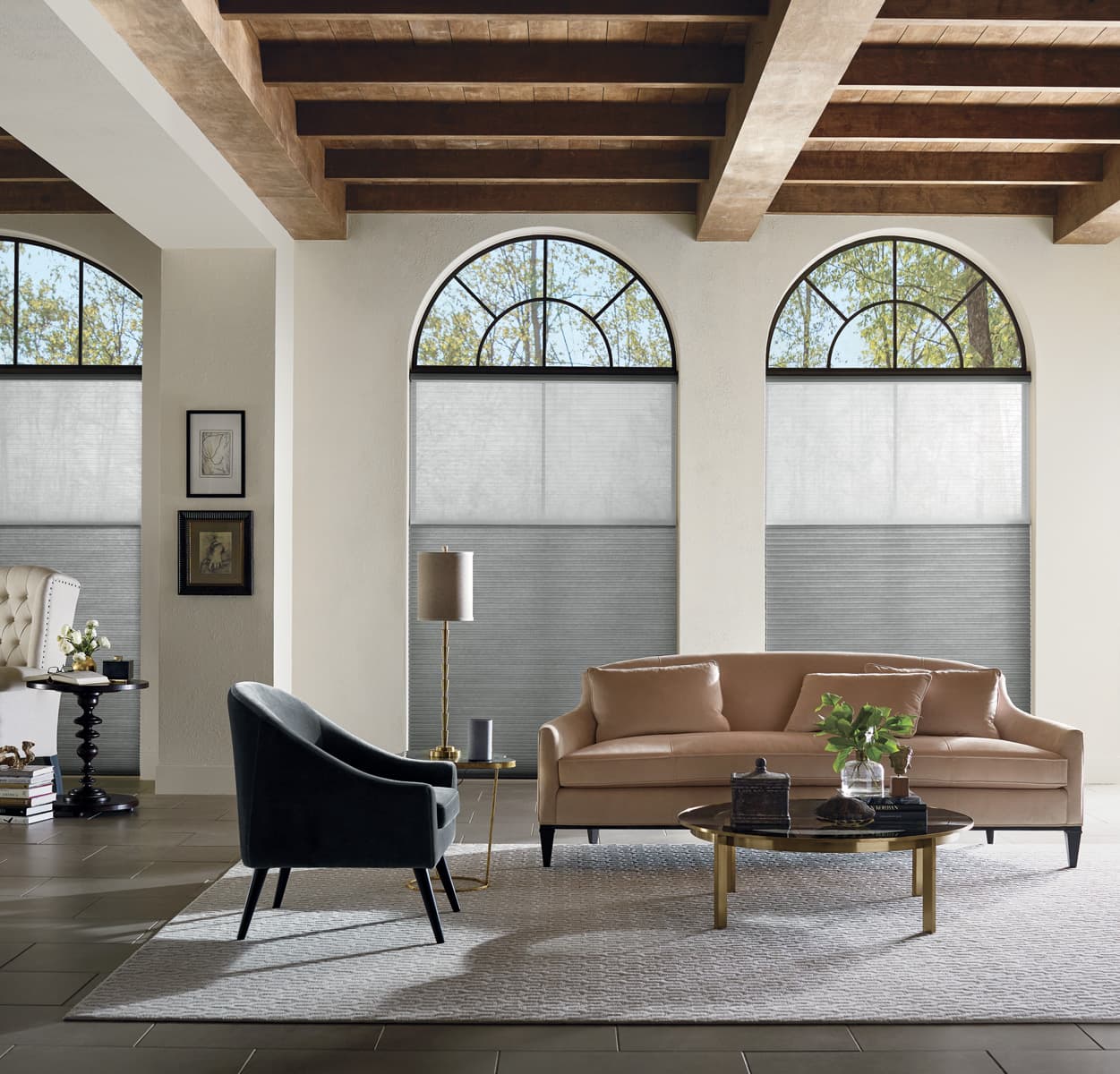 Applause Honeycomb Shades duolite crystalline vintage living room Applause Honeycomb Shades