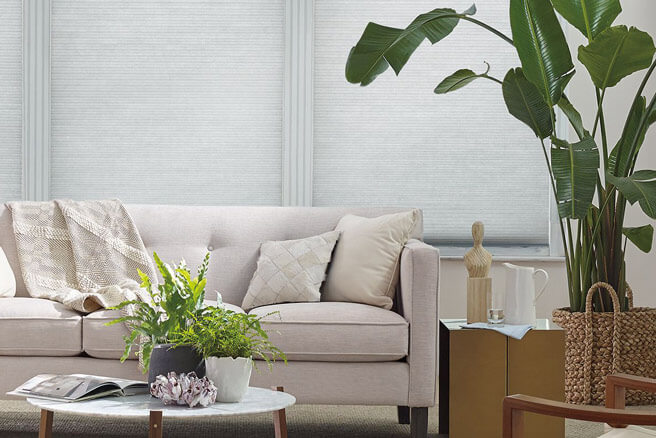 Applause Hunter Douglas Shades