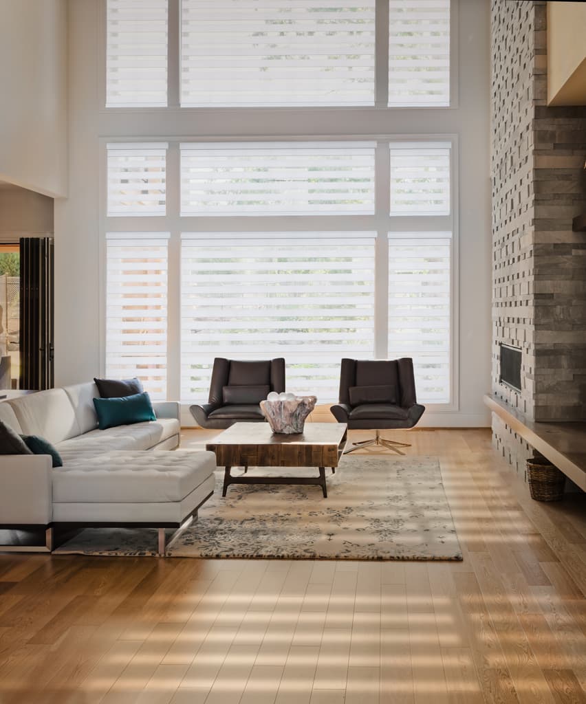 Portfolio Dual Shades